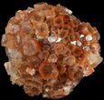 Aragonite Twinned Crystal Cluster - Morocco #49270-1